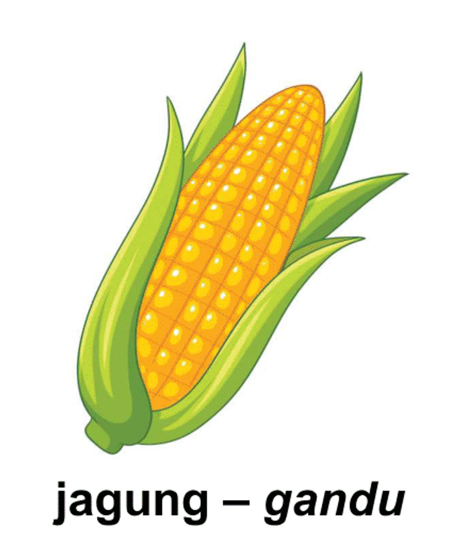 jagung