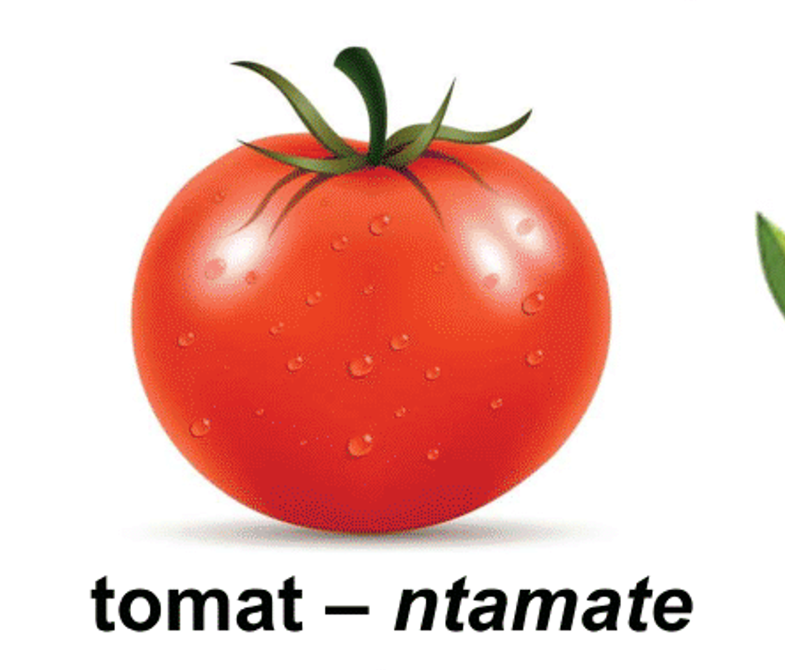 tomat